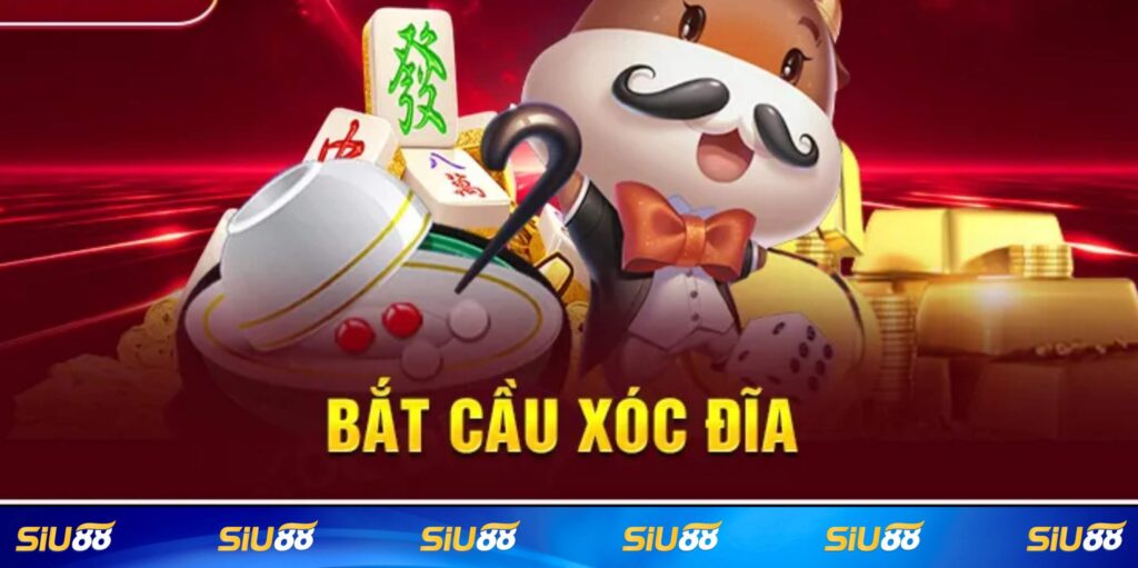 Cách bắt cầu xóc đĩa online